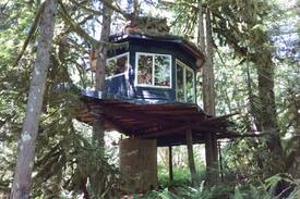 Concrete Other | The Eagle's Perch -- A Tree-House Experience