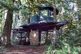 Concrete Other | The Eagle's Perch -- A Tree-House Experience