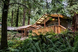 Ariel Cabin | Secluded creekside cabin (Ariel, WA)