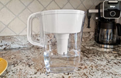 Dixieland House | NEW Lakeland Landing Cute Bungalow by Downtown