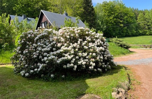 Geising House | Vacation home for 8 guests with 110m² in Altenberg (270759)