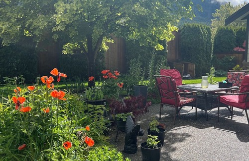 Sardis Cabin | Peaceful Cabin with beautiful mountain views.