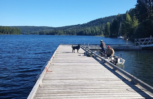 Likely House | Cozy cabin meters away from the Cedar creek and Quesnel Lakennnn