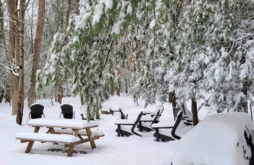 Stroudsburg Cabin | Pickle-ball & Volleyball Courts, In Ground Heated Pool, Central but Secluded