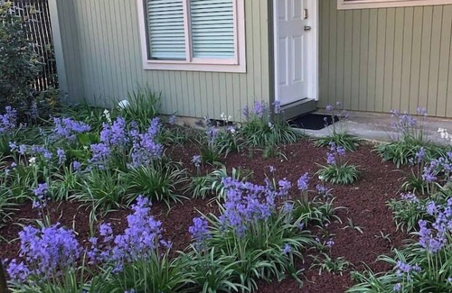 Eugene Apartment | 1A-Studio near UofO, Hayward field, Hult Ctr & DT