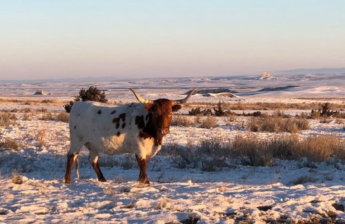 Sioux County Cabin | Ranch Style Cabin House