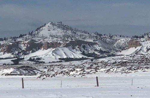Sioux County Cabin | Ranch Style Cabin House