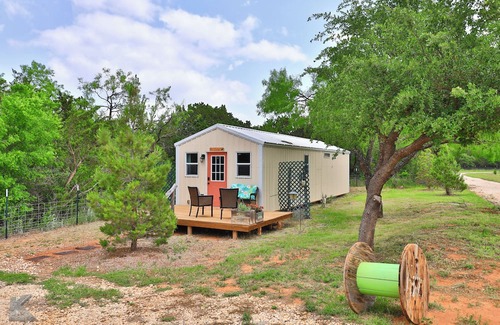 Buffalo Gap Cabin | Secluded cabin, "The Lady" on Christmas tree farm, near Perini Ranch Steakhouse!