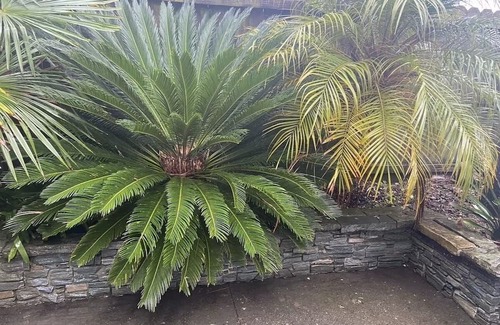 Matakatia Apartment | The Palms on Tindalls, Stunning 1 Bed self contained Italian styled apartment