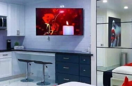 Houston Apartment | H&S Pleasure Suite with Jacuzzi 8 mi from IAH