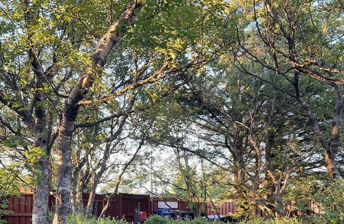 Kopavogur Cottage | Entire cottage in Kópavogur in a quiet and beautiful neighborhood