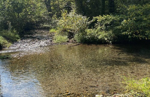 Norman Cottage | Beautiful property on the Caddo River. Fishing or floating is steps away.