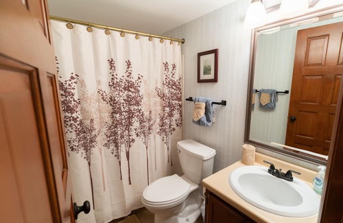 Chalet Village Condo | Comfortable, classy condo with view of Mt. LeConte.