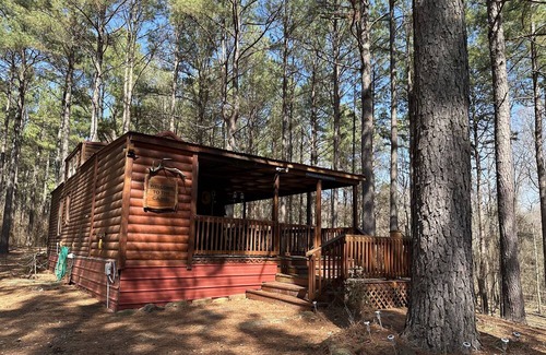 Dover Cabin | NEW LISTING! Private Cabin with Big Piney Creek frontage!