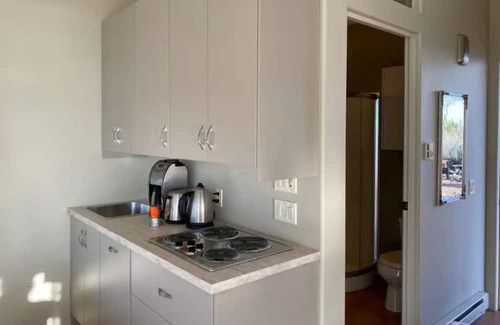 Okanagan-Similkameen Apartment | Cozy guesthouse with Osoyoos Lake view!