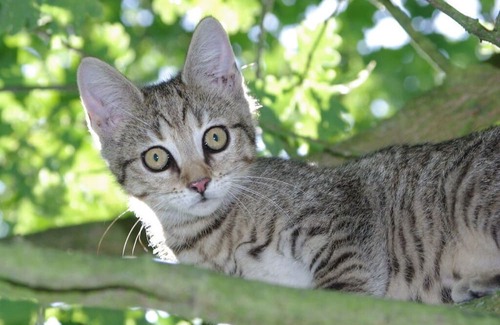 Amt Neuhaus Apartment | Landpension Bohnenburg