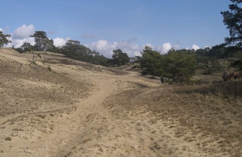 Amt Neuhaus Apartment | Landpension Bohnenburg