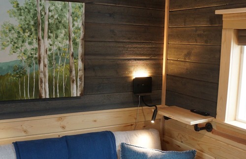 Pine Cabin | Tiny Cabin, Cozy in the Mountains - Pine Grove, Colorado