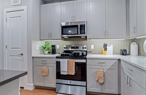 Fort Worth Apartment | Palatial Luxury - 1 King BR | Pool | Gym | Laundry