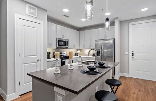 Fort Worth Apartment | Palatial Luxury - 1 King BR | Pool | Gym | Laundry