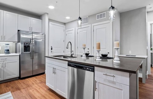 Fort Worth Apartment | Palatial Luxury - 1 King BR | Pool | Gym | Laundry