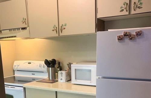 Okanagan-Similkameen Condo | Cozy Pine Retreat *Ski In/Ski Out* Mountain View