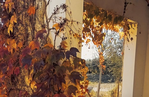 Moratalla Cottage | Casa Independiente en Plena Naturaleza a 3km de Moratalla