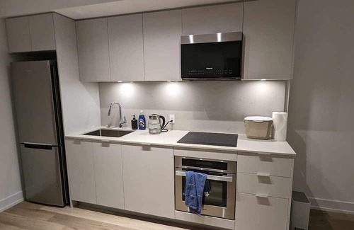Markham Condo | Entire Markham Newly built Luxury Condo 1-bdrm