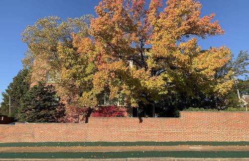 Lindenwood Park Condo | 3,400 sq ft condo near The Hill / Shrewsbury / Forest Park