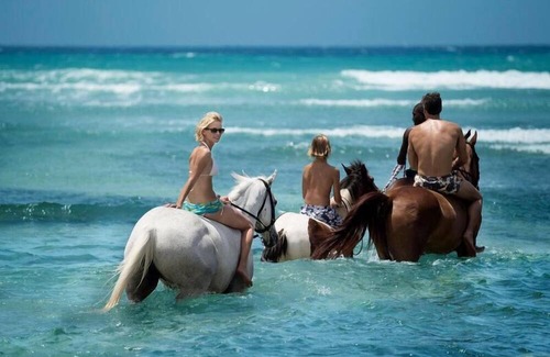Montego Bay Resort | Colonial Style Villa w/ Free WiFi, Pool Access, Bar & Cocktail Lounge