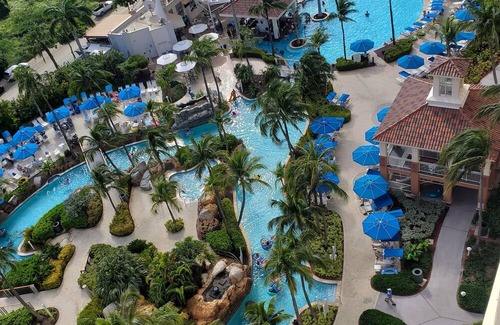 Palm Beach Hotel | Marriott Surf Club - Aruba, The BEST of the Best > Ocean View and Lazy River