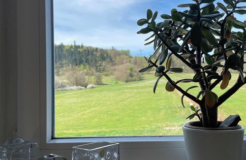Pressig Apartment | Vacation apartment "Friedersdorfer Mühle" in an idyllic secluded location