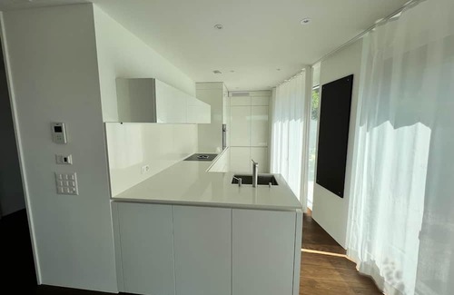 Dietikon District Condo | Lux Duplex apartment with Sauna & Cold plunge 10 mins from Zürich city