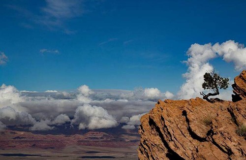 Page RV Rental | Gorgeous Bell Tent Perfect for a Glamping Getaway near Grand Canyon National Park, Arizona