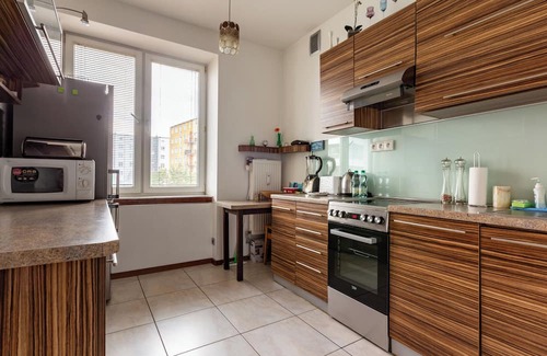 Srodmiescie Apartment | Marina Harmony Apartment