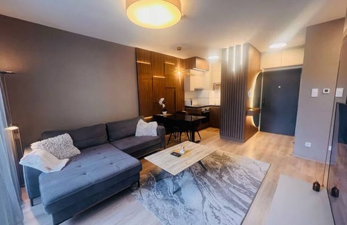 Aviatiei Apartment | Herastrau Modern Apartment