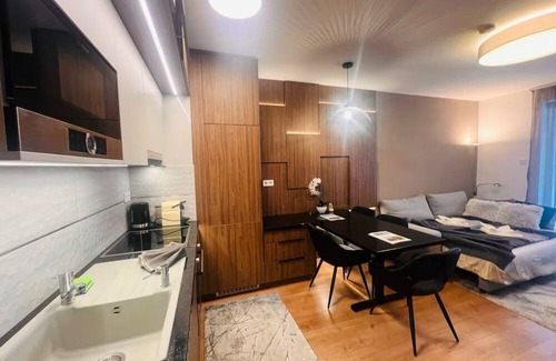 Kiseleff Apartment | Herastrau Modern Studio