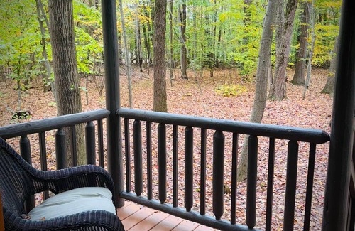 Birch Run Township House | Unit 3 Lodge Cabin (no pets allowed)