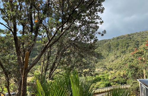 Piha House | "Ruruwai" Perfect Piha Beach getaway