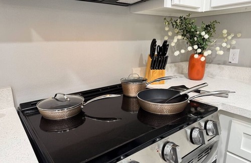Alamo Apartment | Modern Studio Apt - 3Bd 2Bath