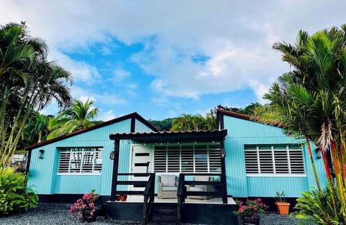 Mata de Platano Ski Chalet | Yunque Valley! 3-bedroom chalet in La Capital del sol, Luquillo! with AC, WiFi!