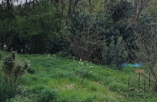 Vigoulet-Auzil House | Quiet house on the edge of a forest next to a lake