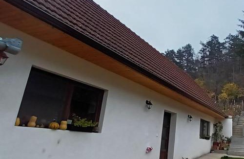 Laslea House | Casa Angelica