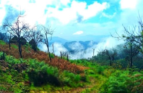 Kodaikanal House | The place the experience kodaikanal