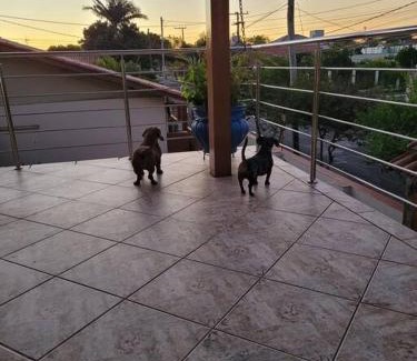 Harmonia Apartment | Studio com sacada, área de lazer e garagem.