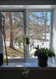 Ottawa Division House | Nature Retreat in the city