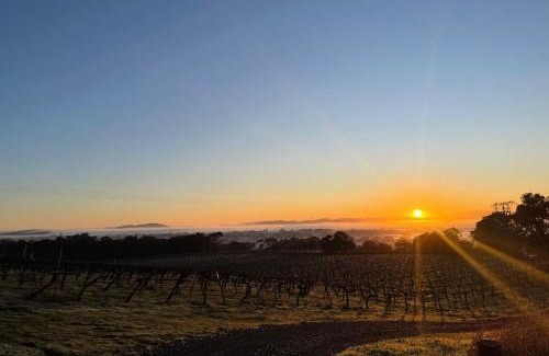 Ararat Other | Cosy Glamping Tent 1