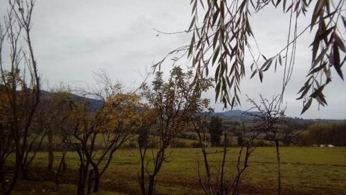 Bajos de Lircay House | casa vistahermosa