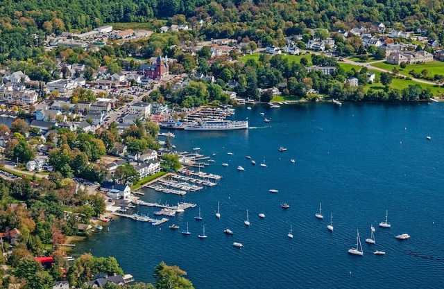 The Wombat- a Cute home for you