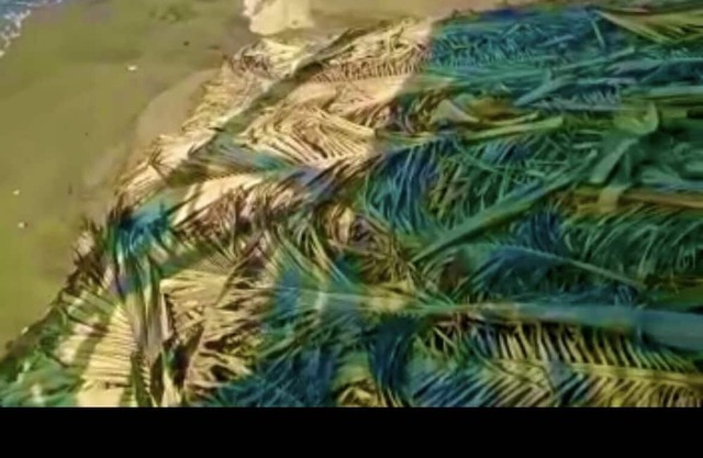 Ln2 Villa Francesa al Sur de Los Organos A